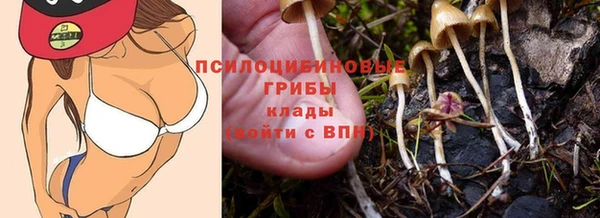 гидра Сафоново
