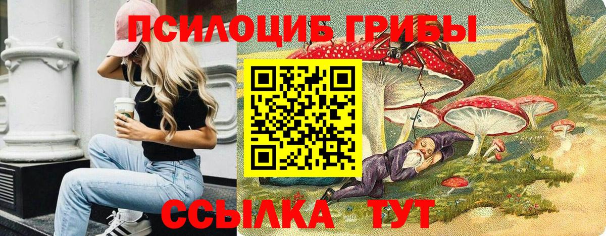 Псилоцибиновые грибы мицелий  Вход с VPN  Кореновск 